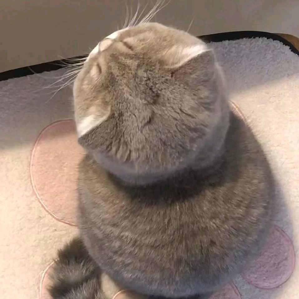 ☆下一个沁天^O^