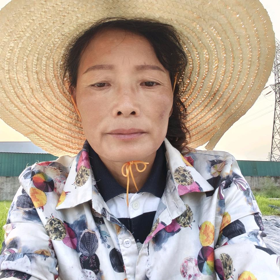 思念（晚上8.20开播）