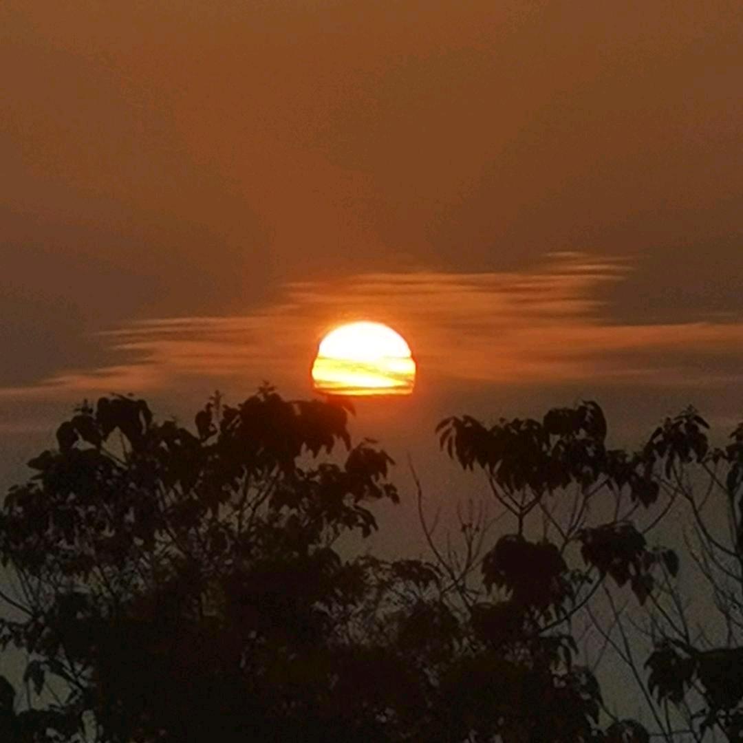 进化中的小小石