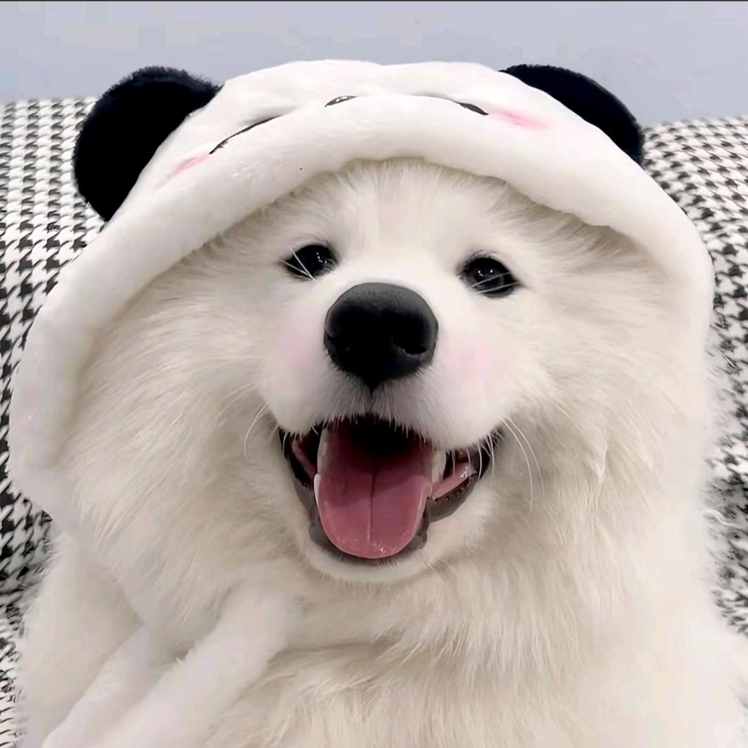 沈糖