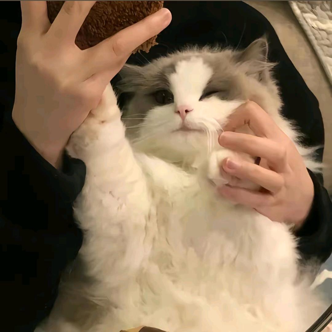 图图每天cos女仆勾引壮壮妈