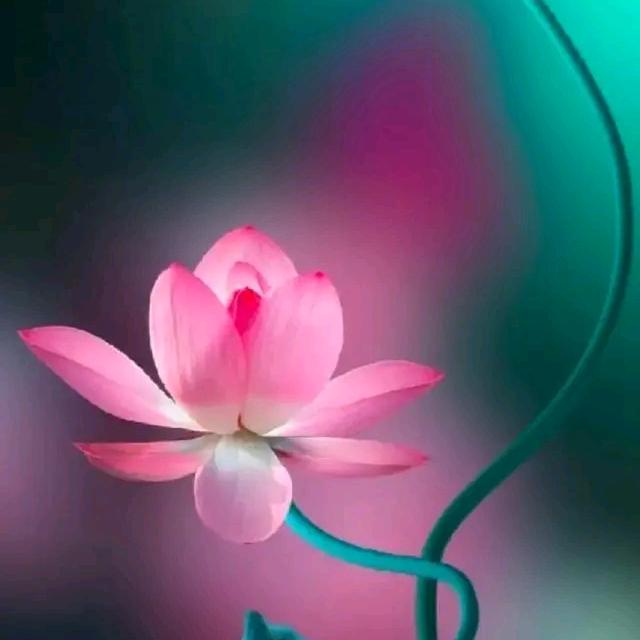 幸福（聊天，又名东扯西拉）