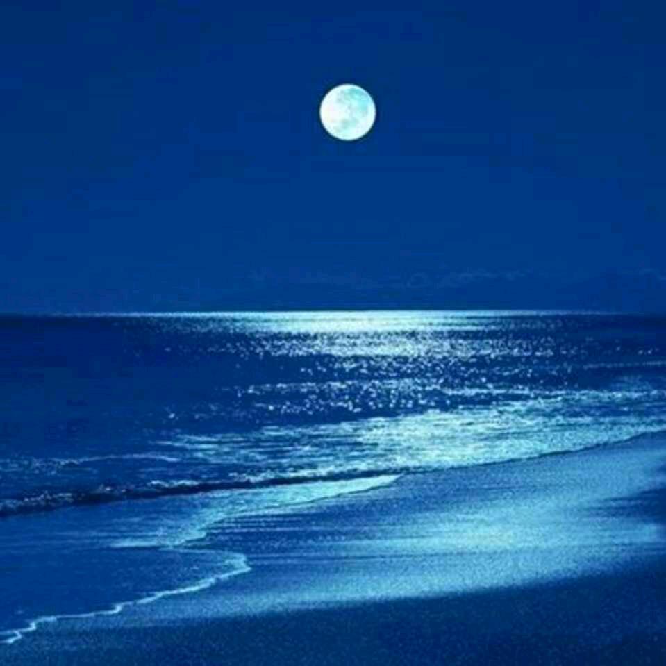 诗情人生（756324842537）