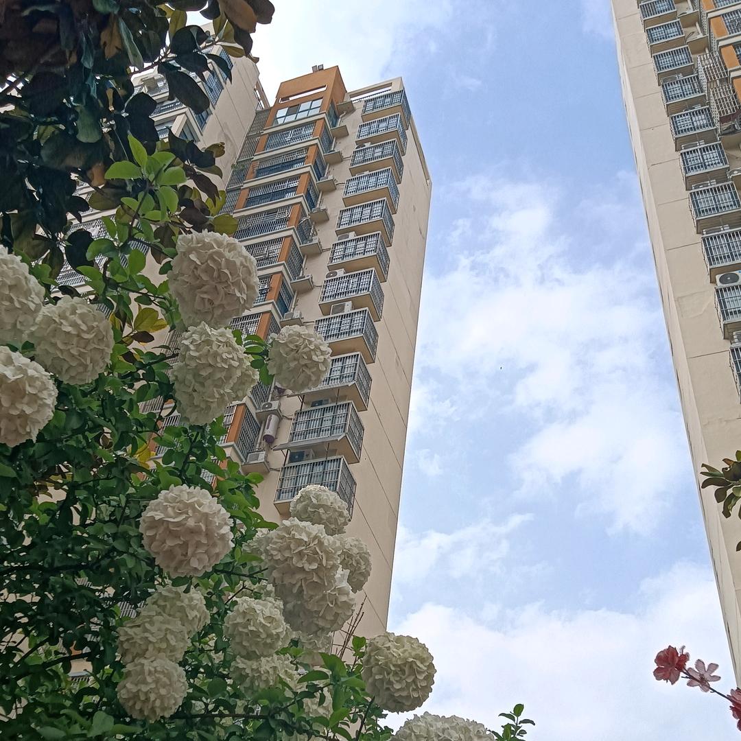 真相（十年     博爱）亲妈