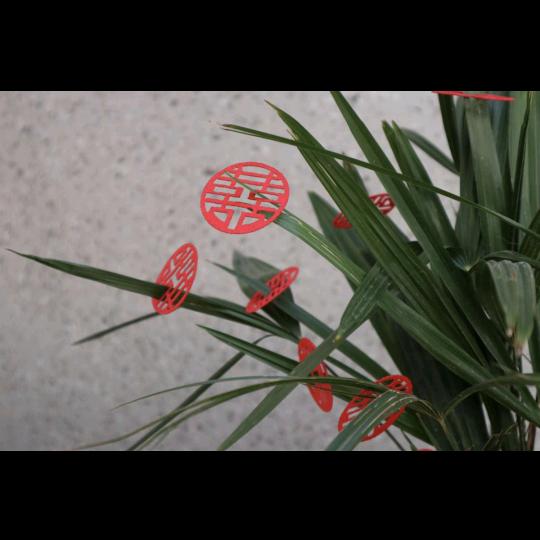 番茄呀
