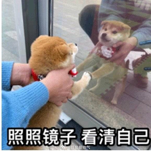 营养君