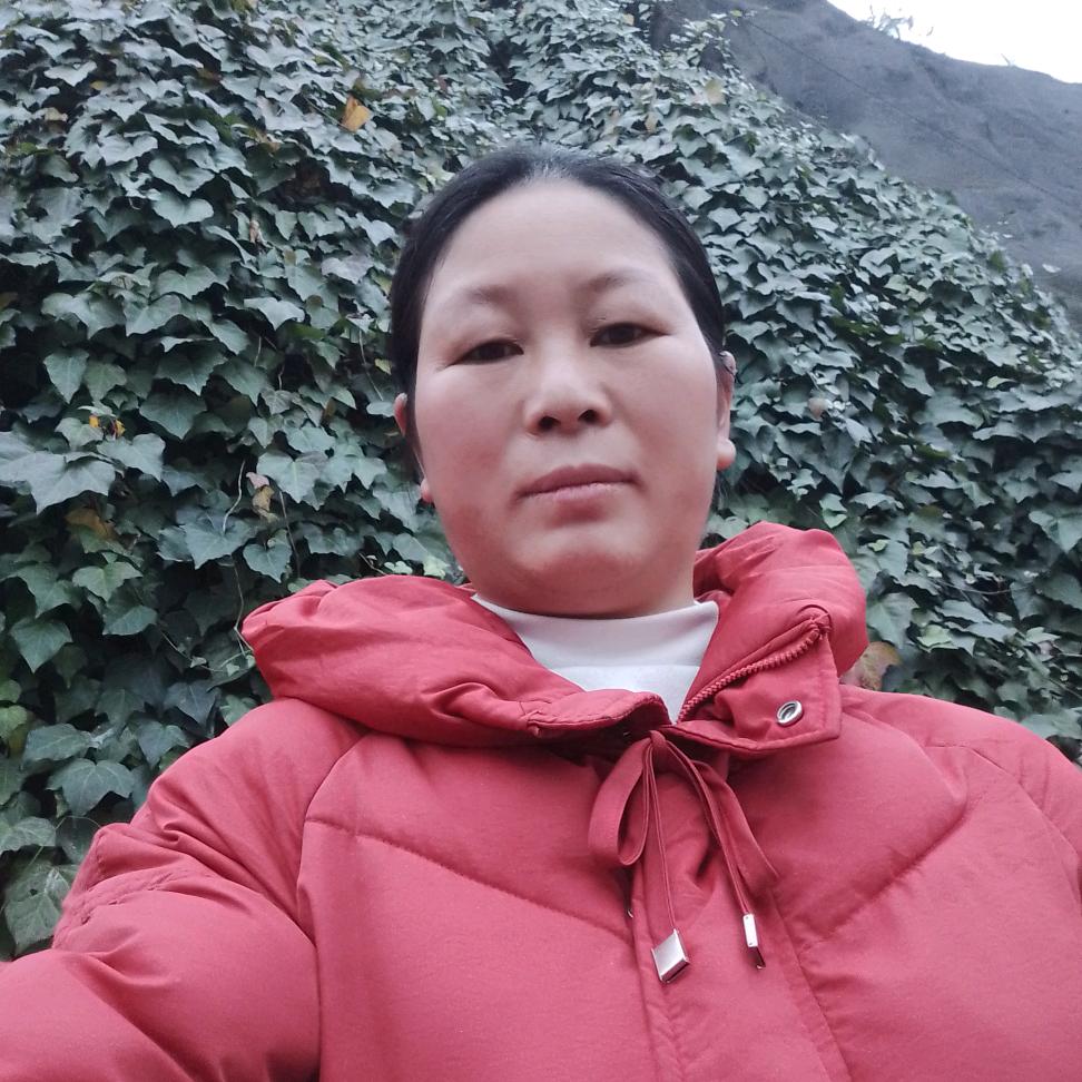 梦想姐（568）下午 3 点钟开播