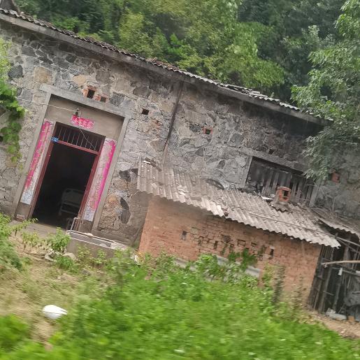 身不由己