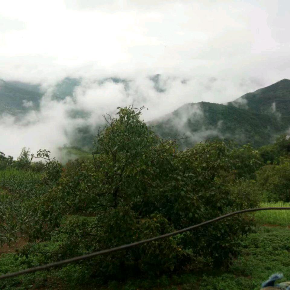 雨中的思念