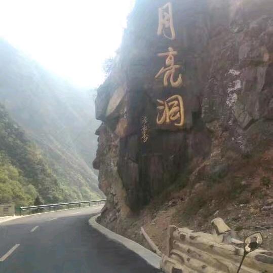 为你停刘