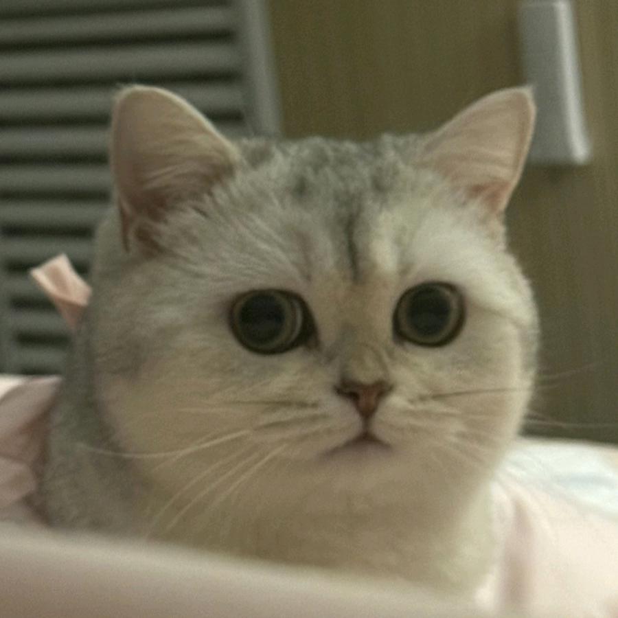 婉娩剧场