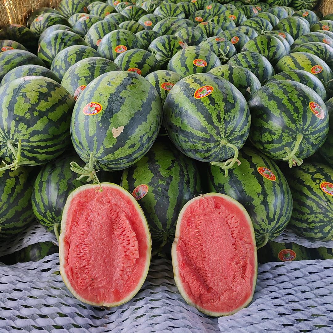 陕E瓜🍉果