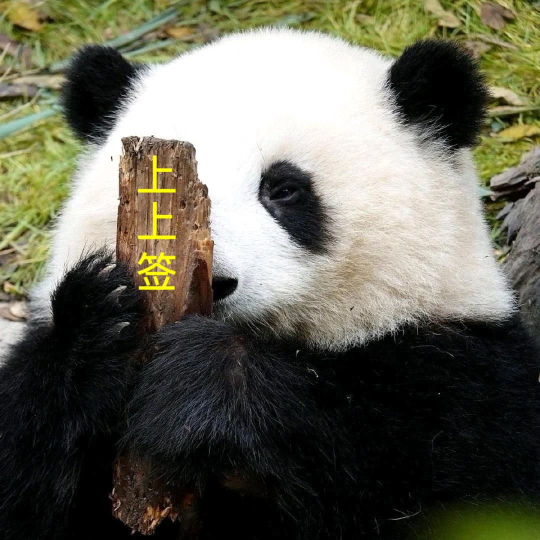 腻哒卡瑞吉☘️