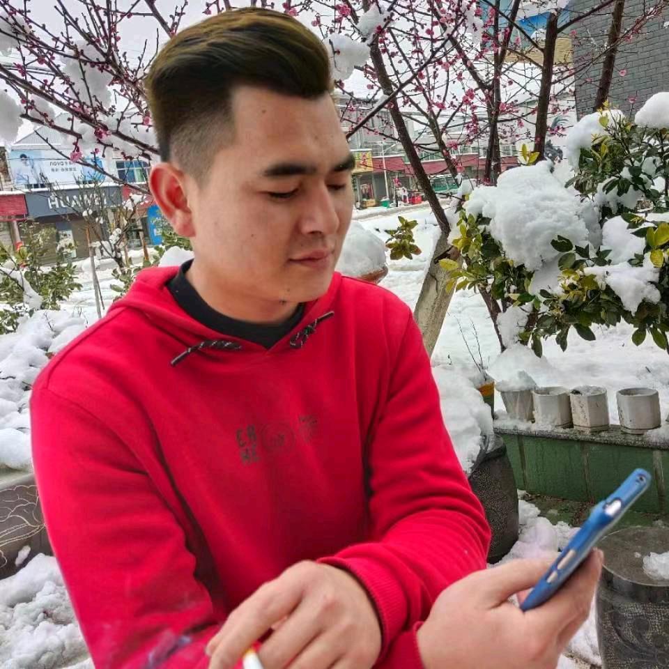 樊华阿禹新能源