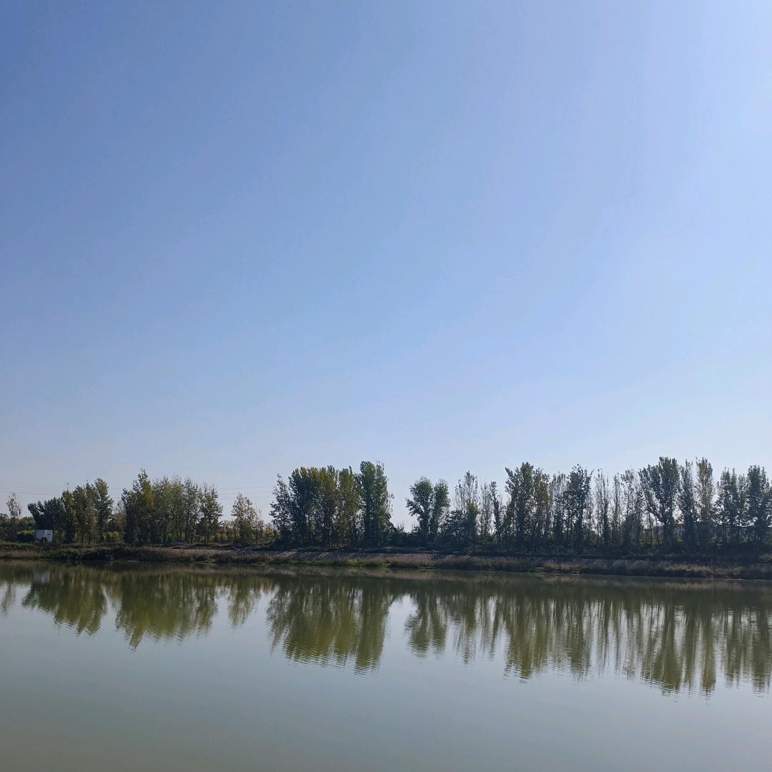 小芳140