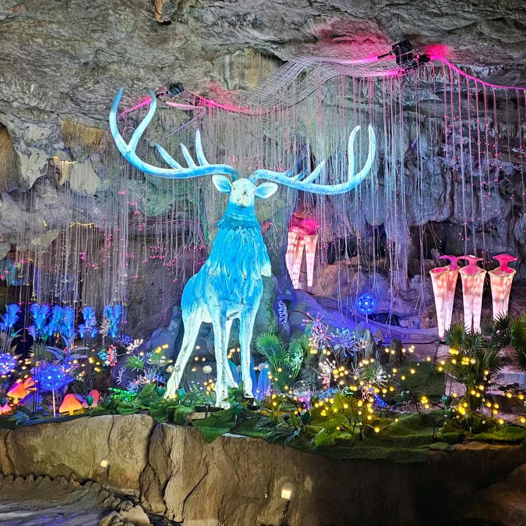 遥遥领先。。。