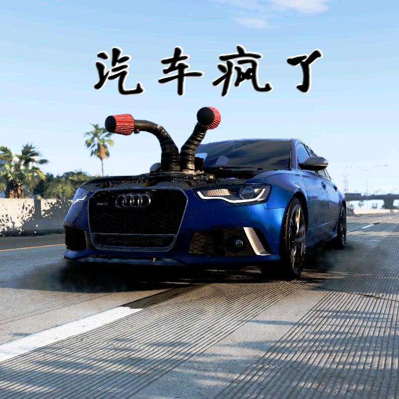 汽车疯了