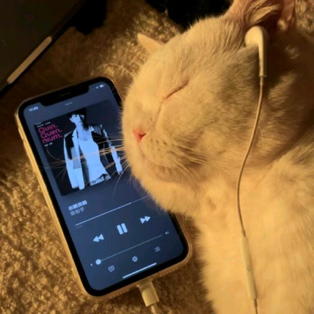 拒绝歌荒