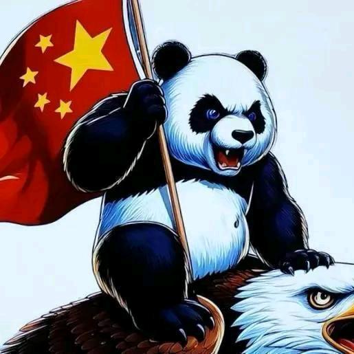 不大不小