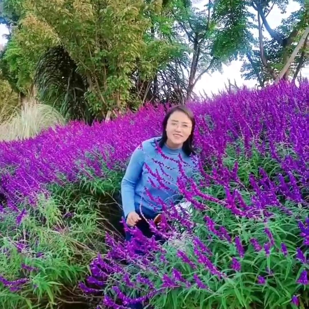 @兰馨(户外徒步)