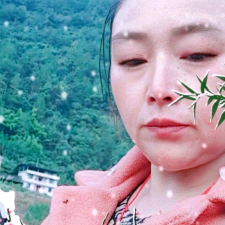 芬姐