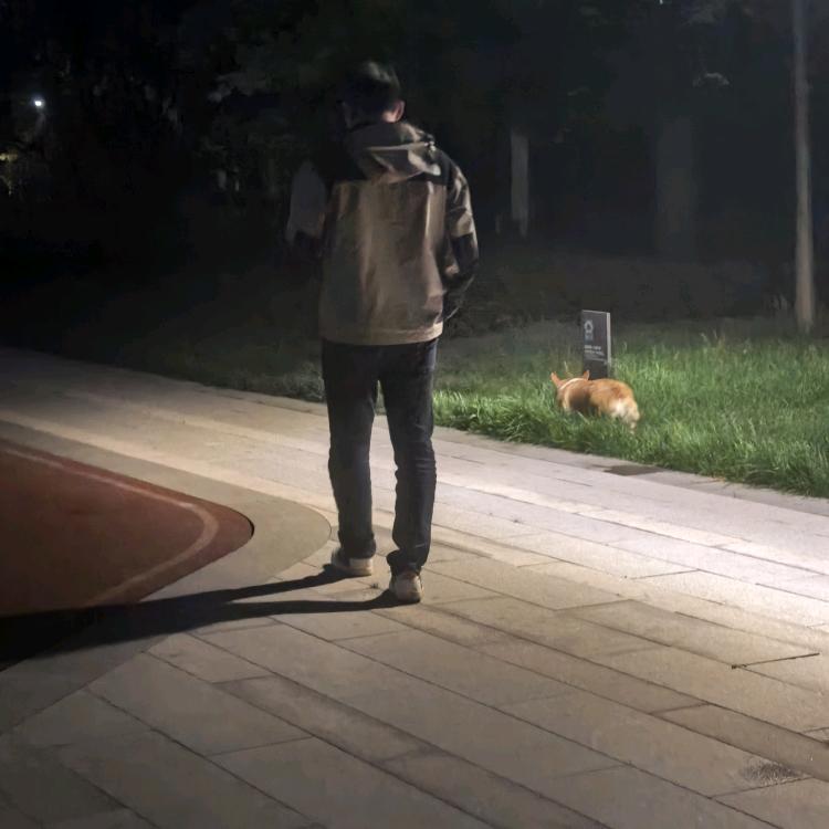 无为无我