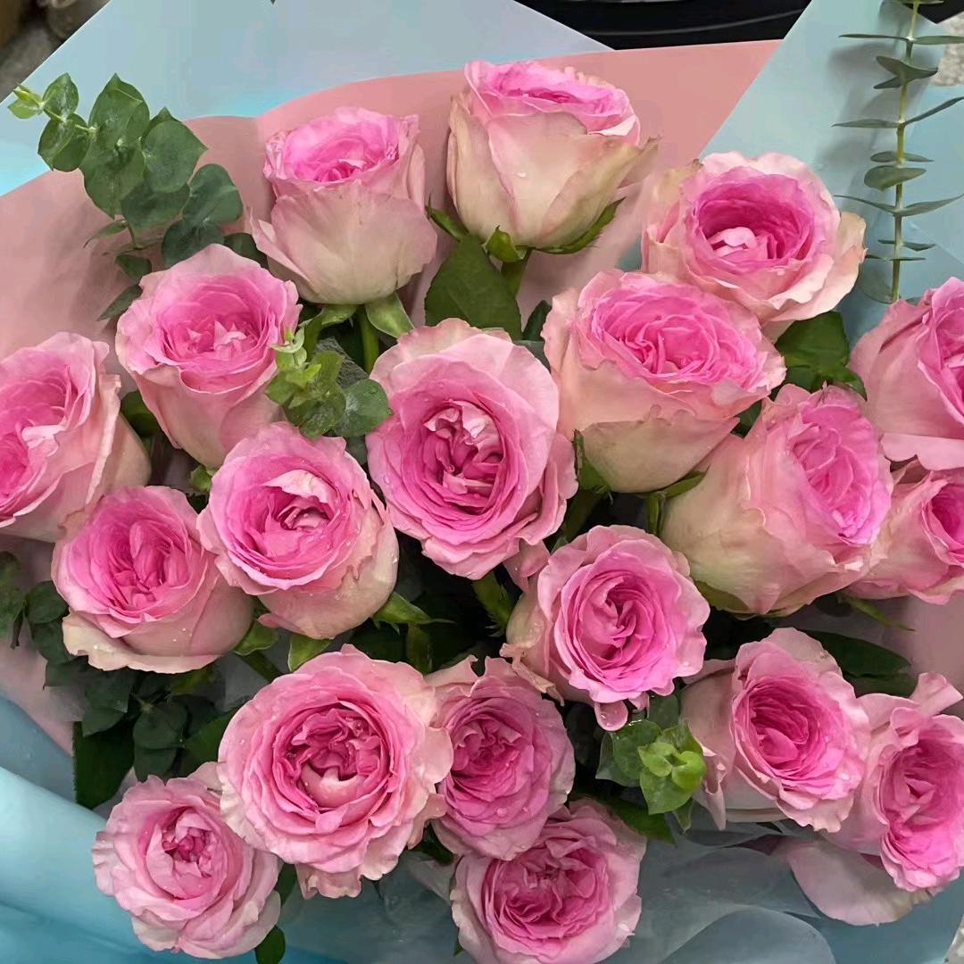 广州天涯鲜花批发零售店