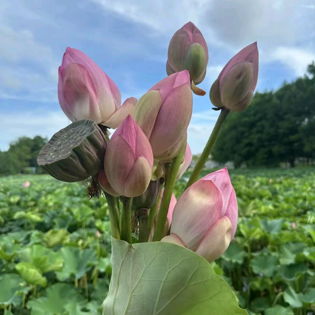 往事如风一切随缘