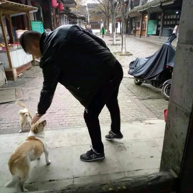 小党是个人才