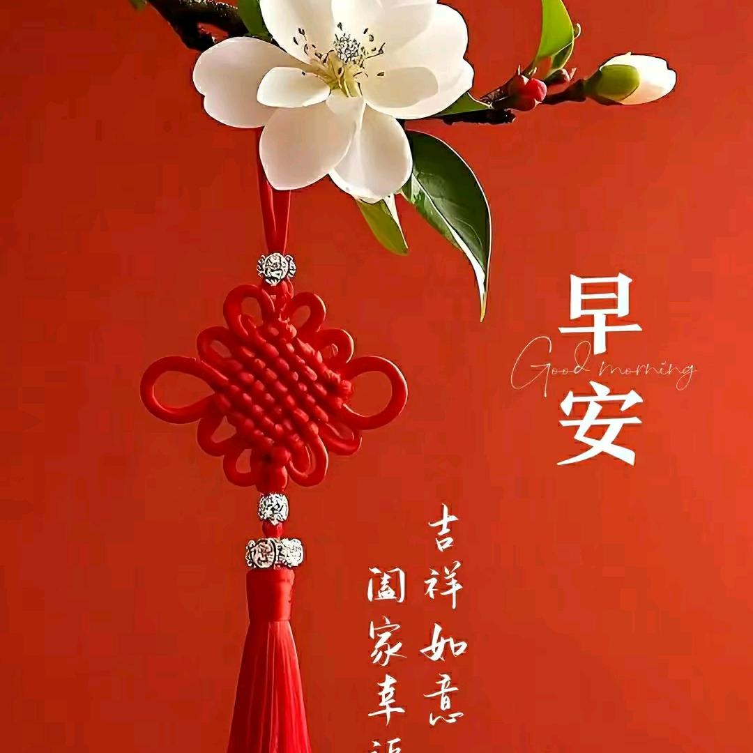 朱珠