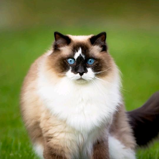 ໑ຼₒ₂₄ღ᭄搞钱要紧🕊꧔ꦿ᭄💞