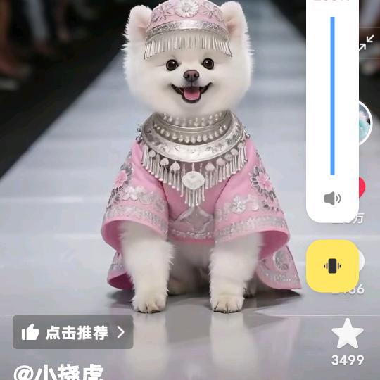 登军用户846034089