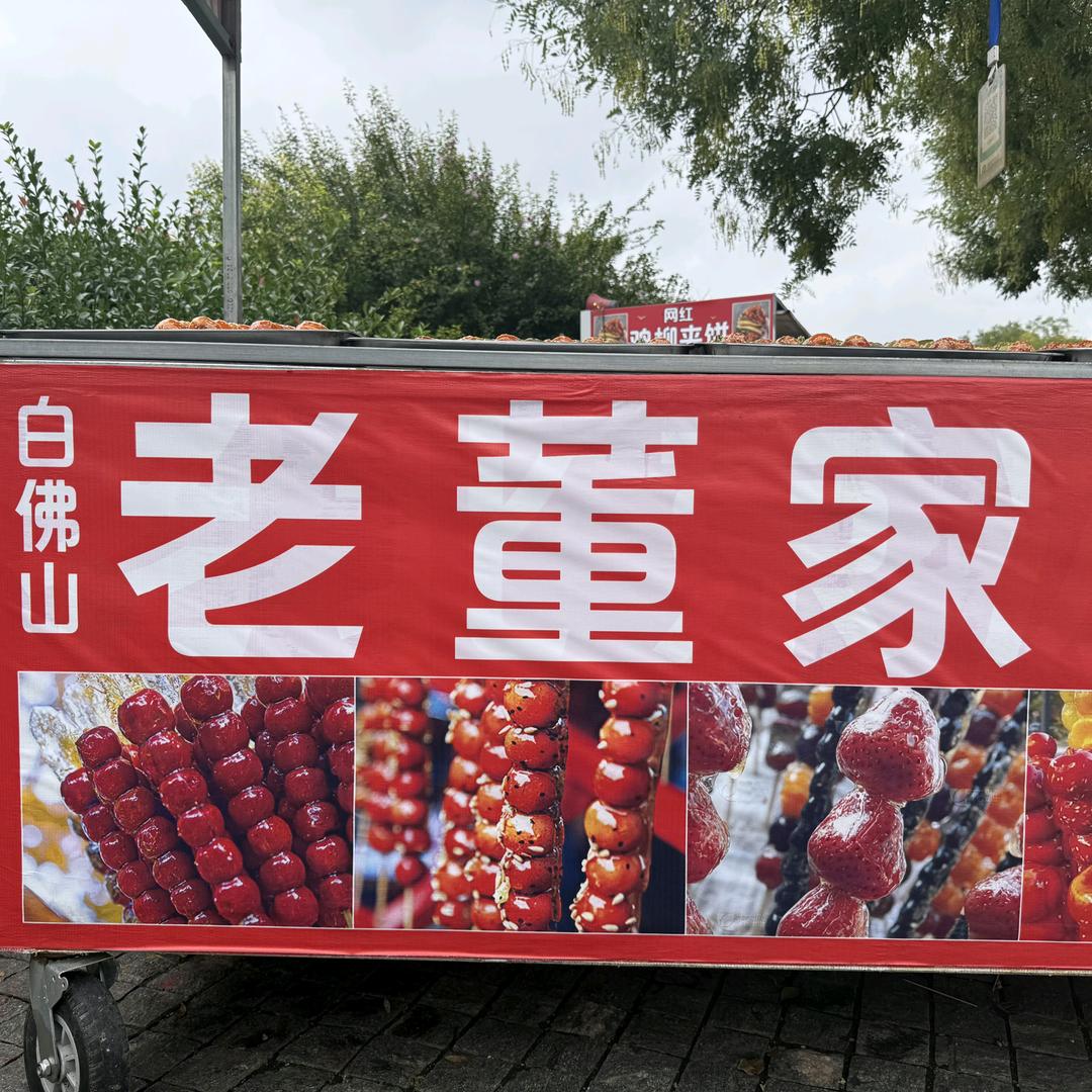 老董家冰糖葫芦_网红炸鸡馍