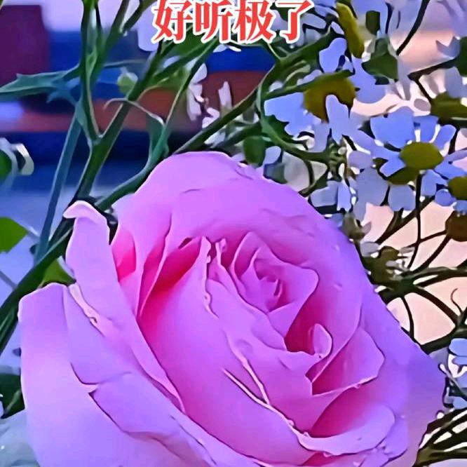 高兴见到你