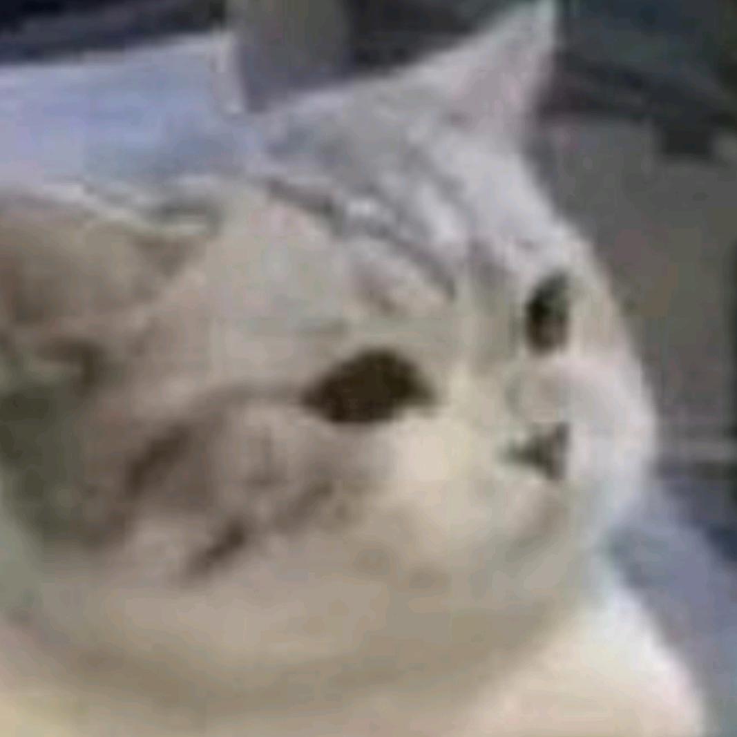 甘