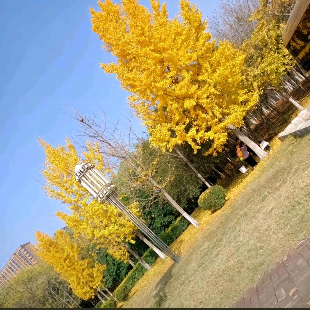 🌷🌾🎋古浪全哥🍁🍂🥀