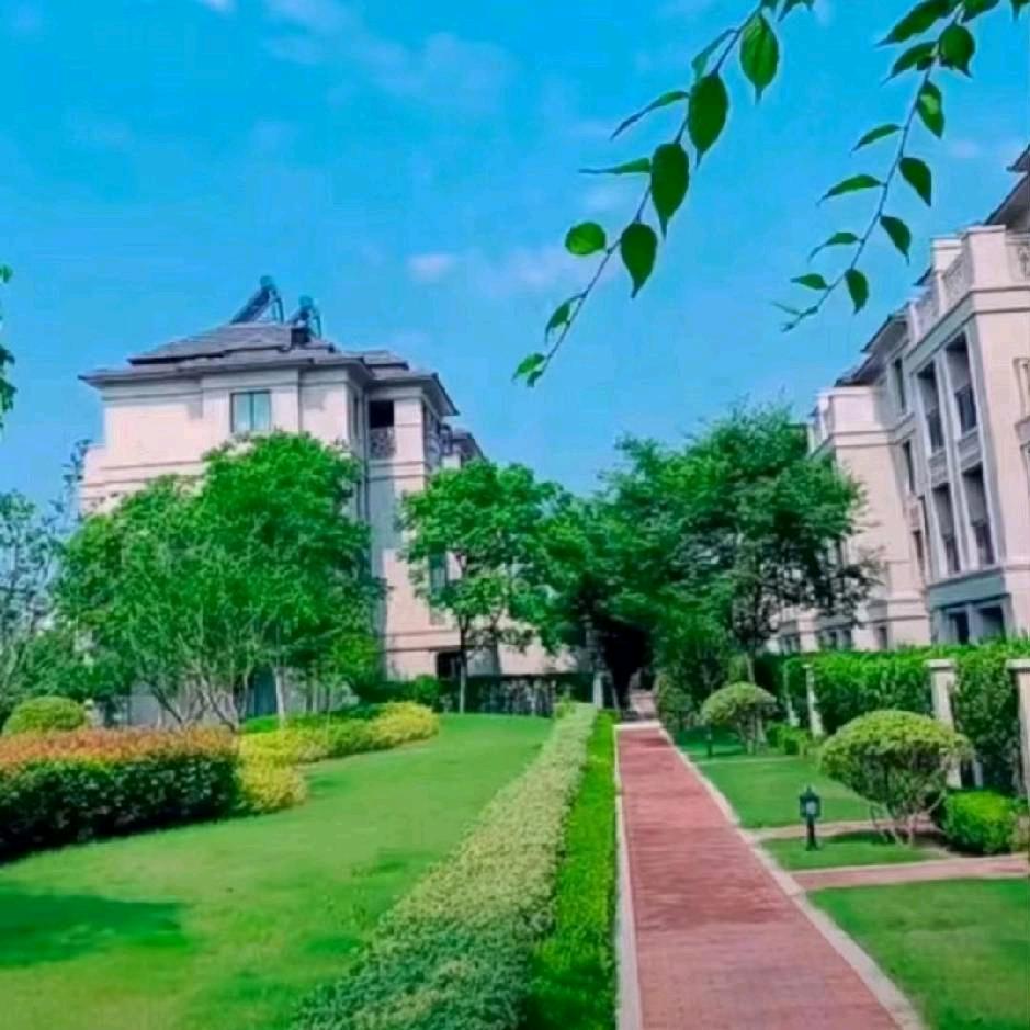 全国铺装队，石材，pc砖，瓷砖