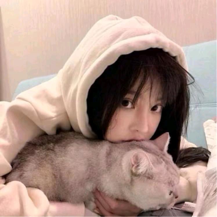 ✨小柒玩游戏