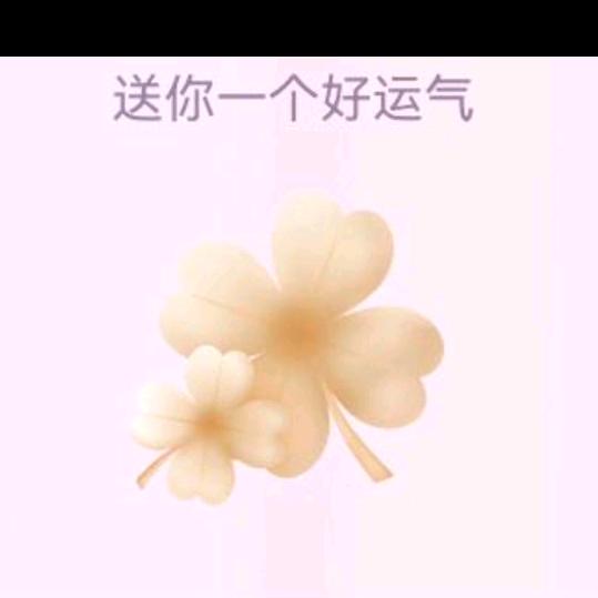 春风十里，不如你！