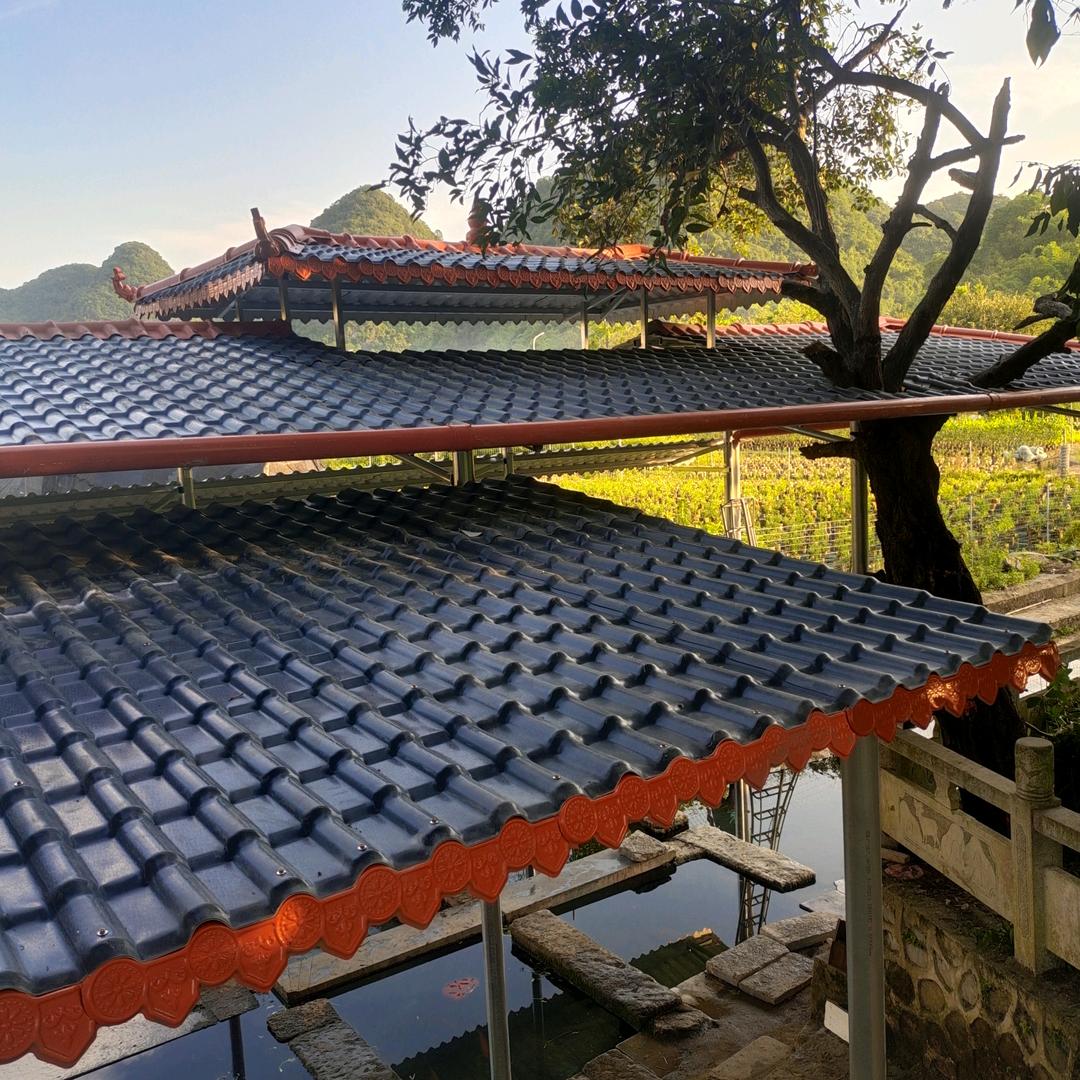 🐉龙行天下🐉