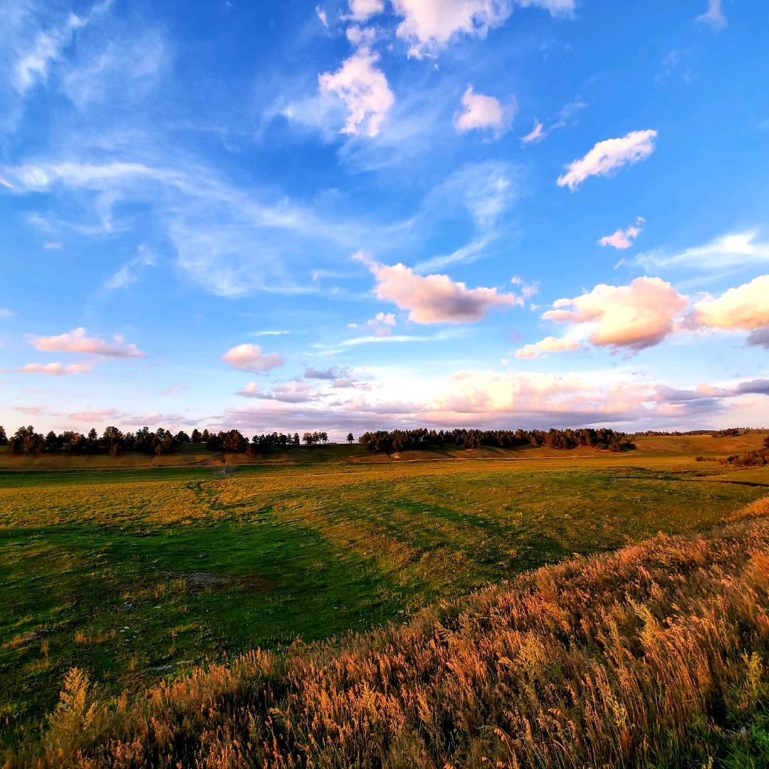 海拉尔大众铜锅涮肉
