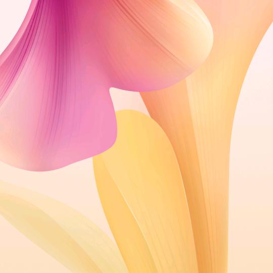 ꧁💖归🌺零💖꧂