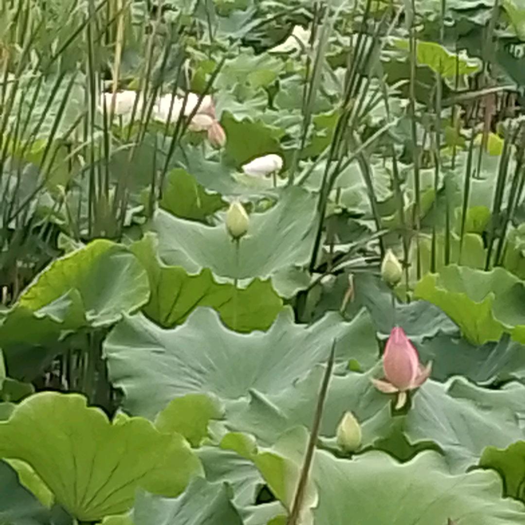 蜕变（拒私聊）