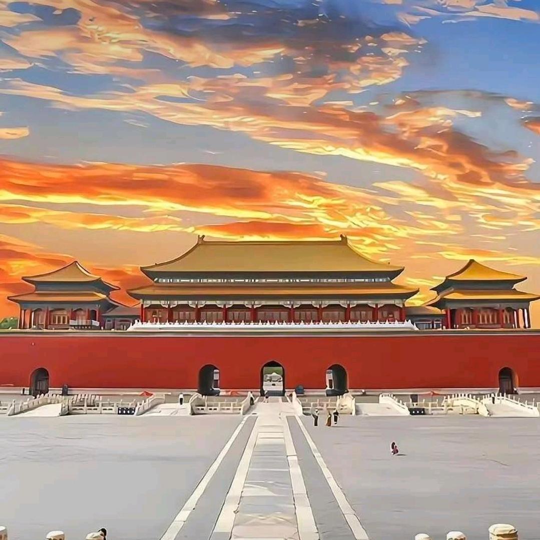 诺琪🐑