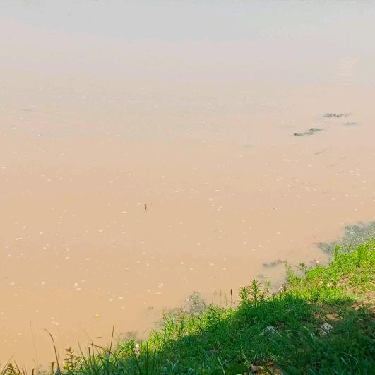 为你守候
