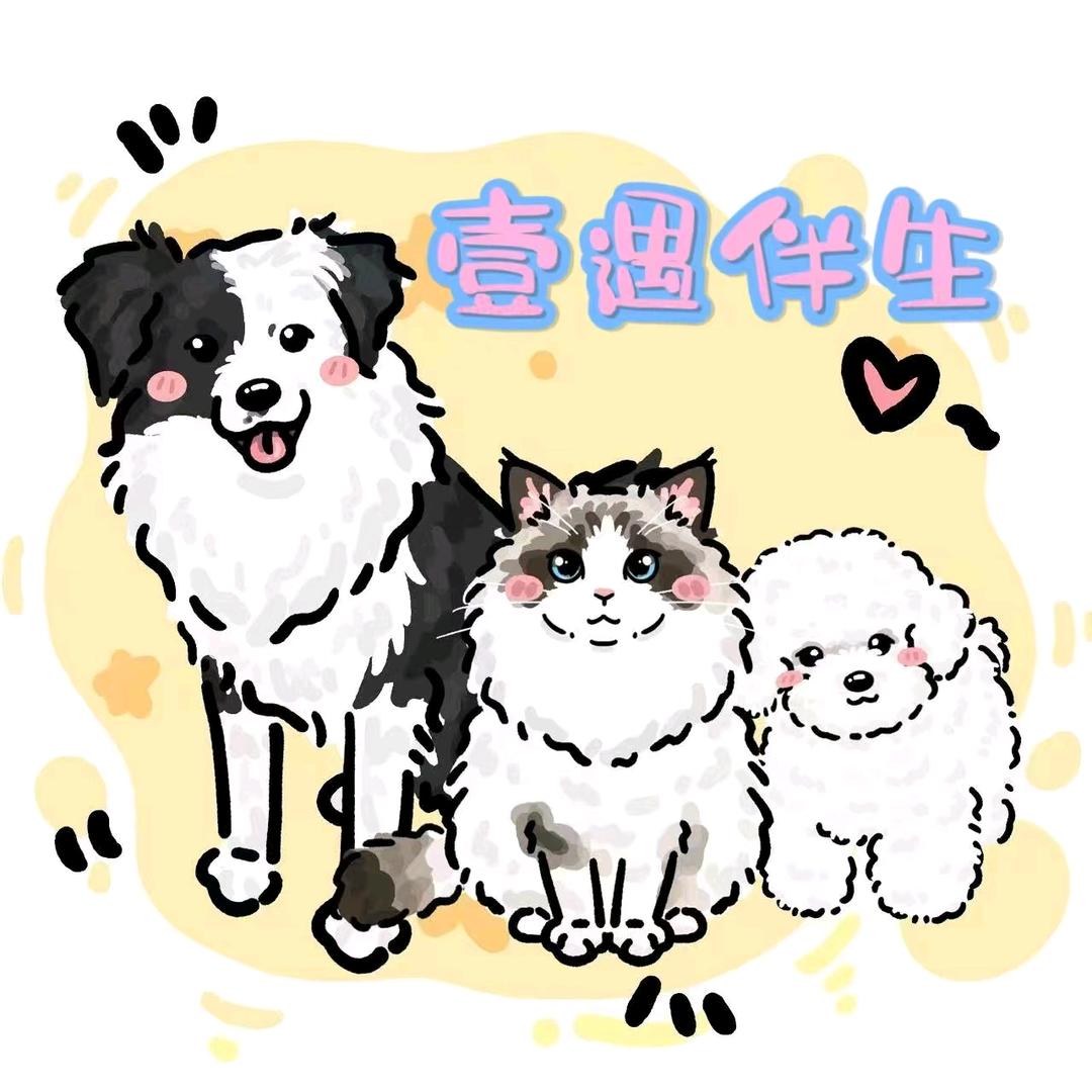 壹遇伴生宠物店官方号