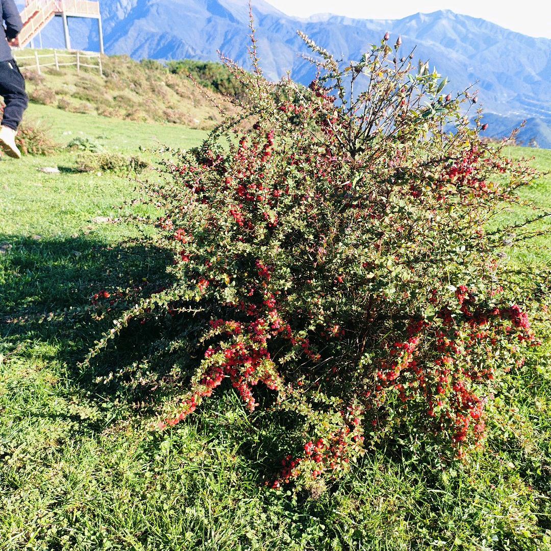 小周变老周咯😀
