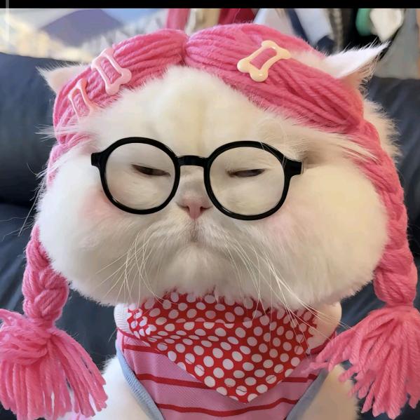 萌小狸吖🦄