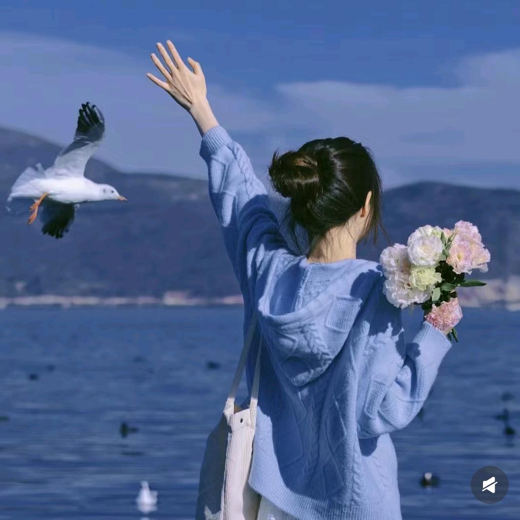 好听音乐🎵