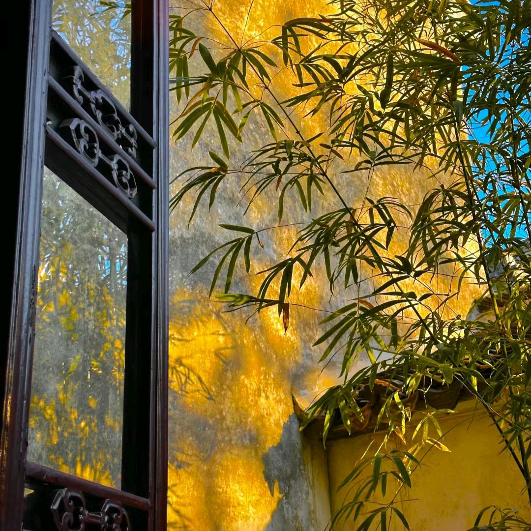 七安（随遇而安）